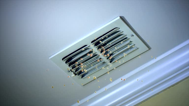 Best Affordable HVAC Duct Cleaning  in Fayette, IA