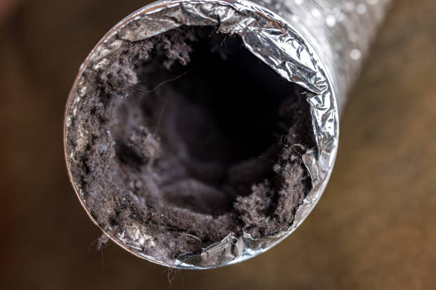 Best Emergency Air Duct Cleaning  in Fayette, IA